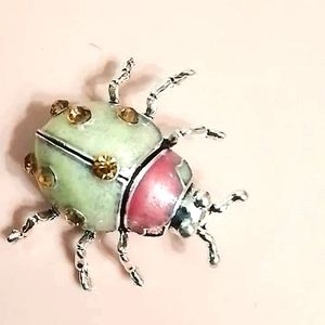 NWT Enameled green and pink ladybug brooch,  with  crystals.